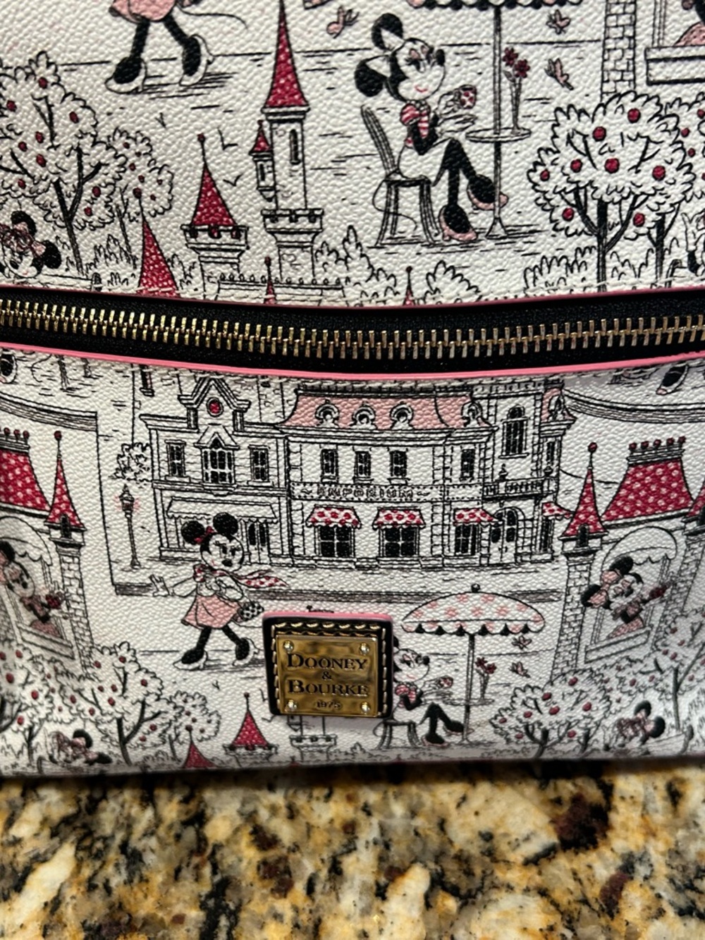 Dooney & Bourke Disney “Minnie in the Park” Hobo Bag AND Coordinating Wallet Set - Picture 10 of 16